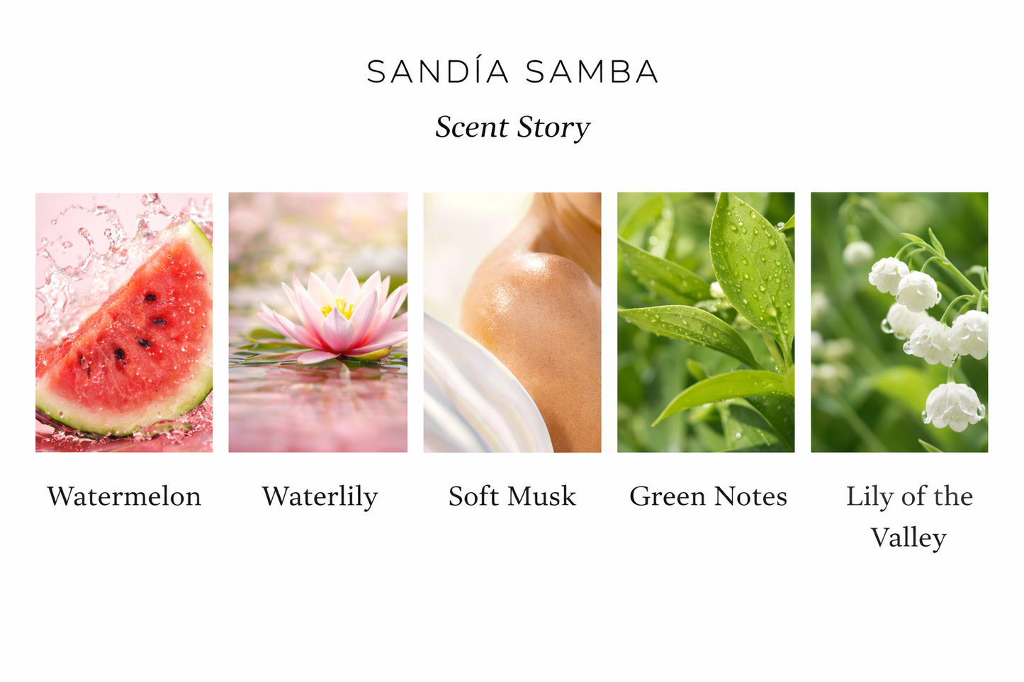 Sandia Samba Hair fragrance and shine 30ml
