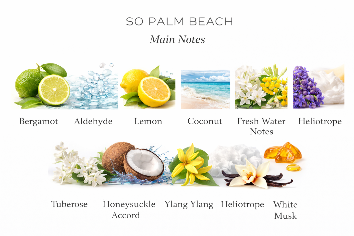 So Palm Beach Eau de Parfum 30ml